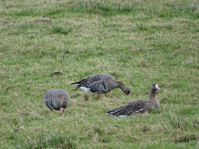 他无疑能提 他无疑能提