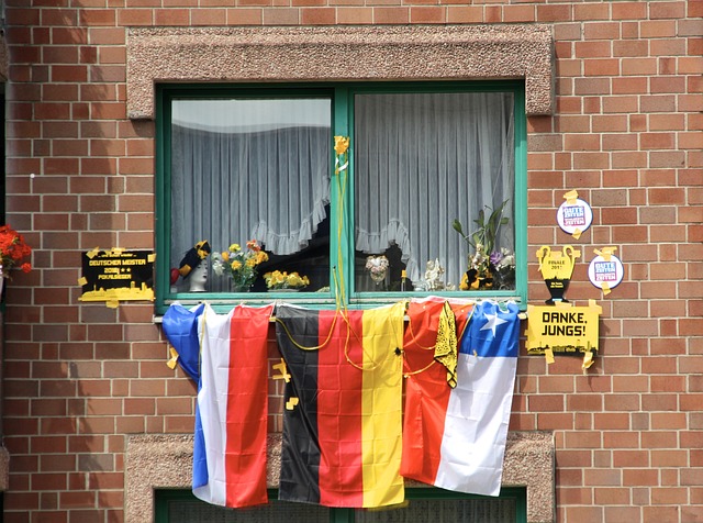 身穿东北豹服参加汉马的跑者：遗憾未约上武大樱花，打算再跑一次汉马.